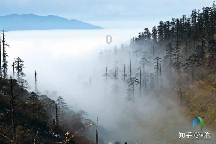 哪种男人是你的坚强后盾