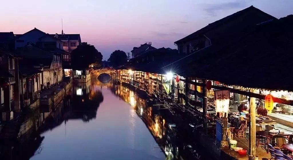 救援受困的老虎